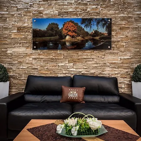 Hotel Garzon Plaza