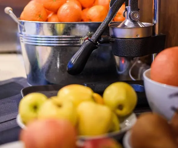 Garzon Plaza מלון 4*